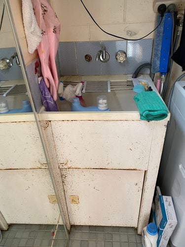 IMG_6879.jpeg IMG_6879.jpeg