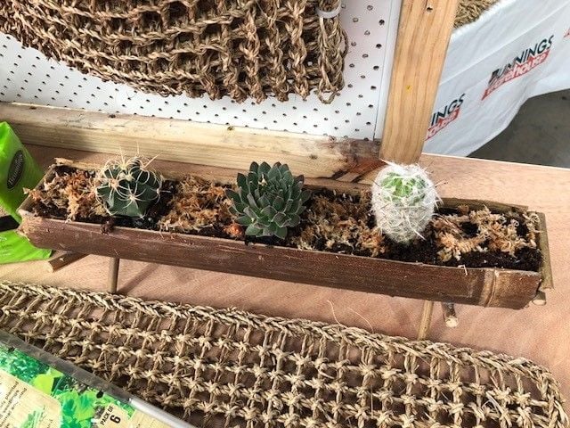 Image 9.jpg Image 9.jpg