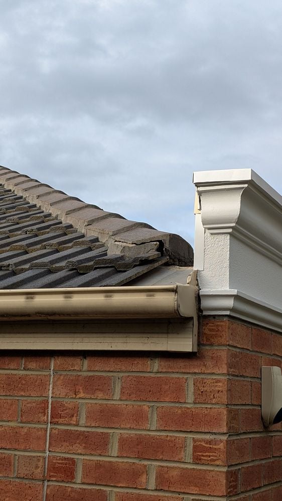 PXL_20250719_053451745.MP.jpg PXL_20250719_053451745.MP.jpg