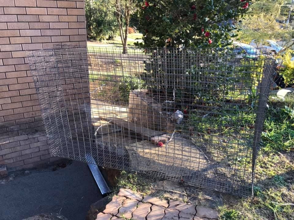 16 07-08-2021.jpg 16 07-08-2021.jpg