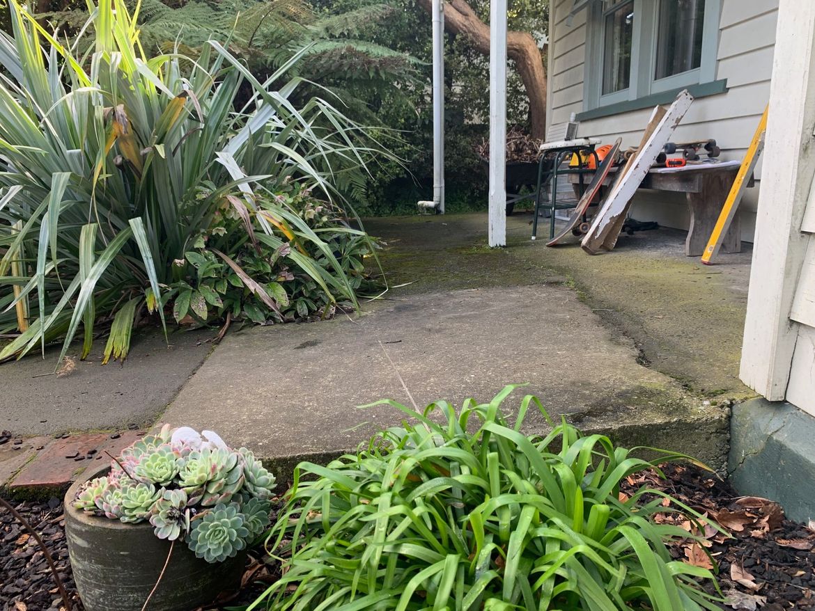 IMG_3207 (1).jpg IMG_3207 (1).jpg