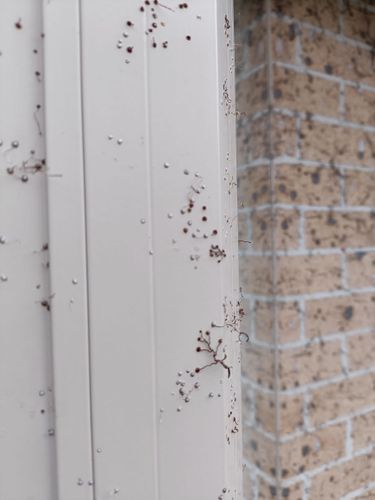 IMG20220827102411.jpg IMG20220827102411.jpg