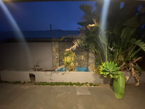 IMG_3495.jpeg IMG_3495.jpeg