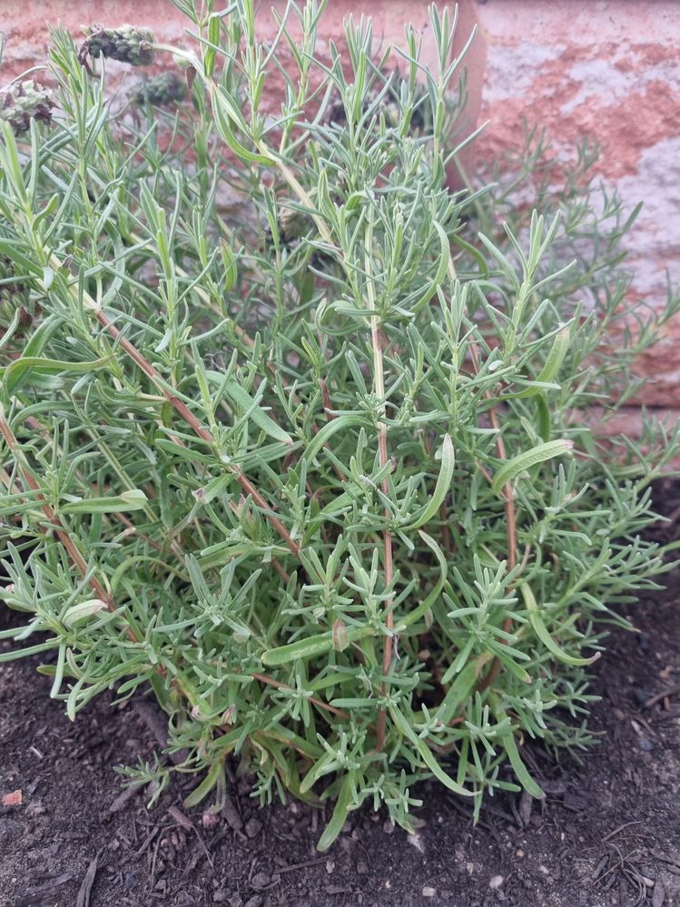 20241108093932.jpg 20241108093932.jpg