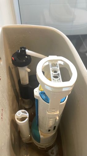 IMG_5744.jpeg IMG_5744.jpeg