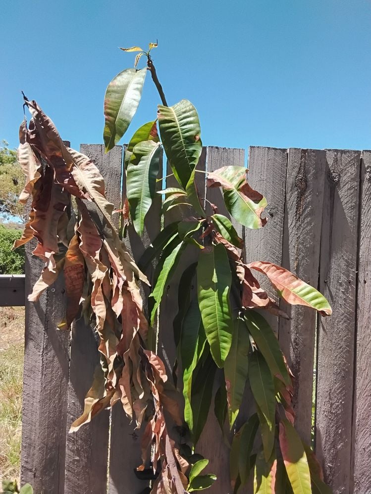 20250225_115044.jpg 20250225_115044.jpg