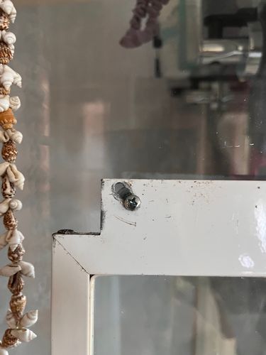 IMG_0989.jpeg IMG_0989.jpeg