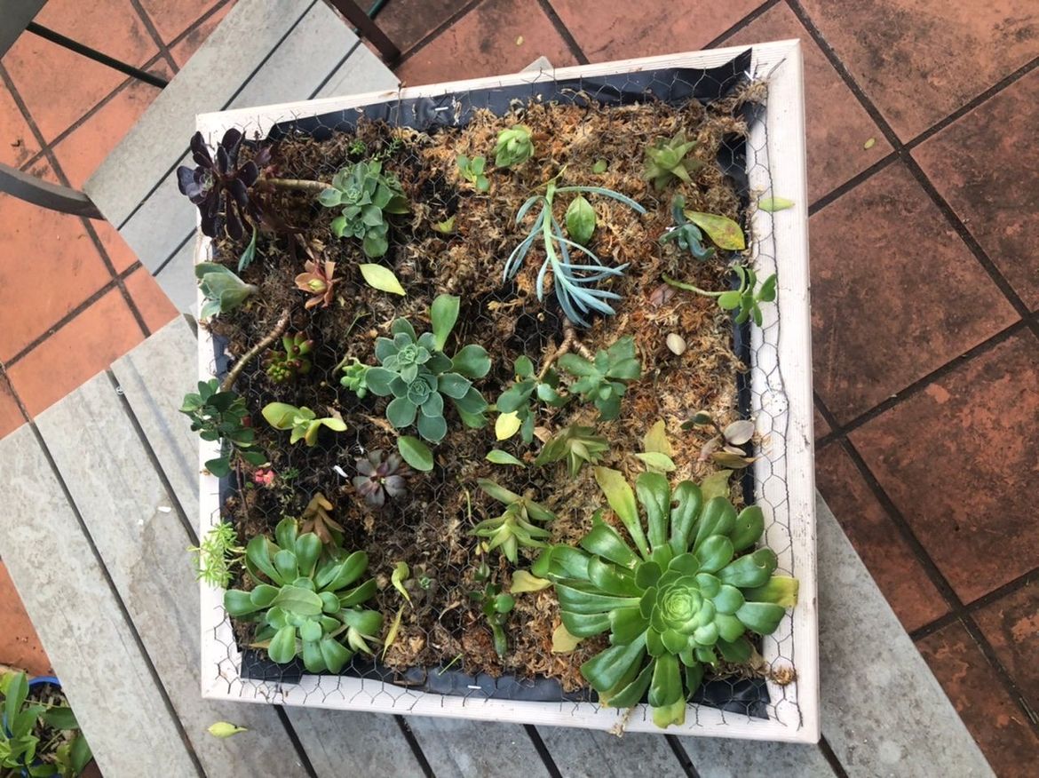 673B25AC-72C9-4BCD-85A6-4E0721504DBE.jpeg 673B25AC-72C9-4BCD-85A6-4E0721504DBE.jpeg