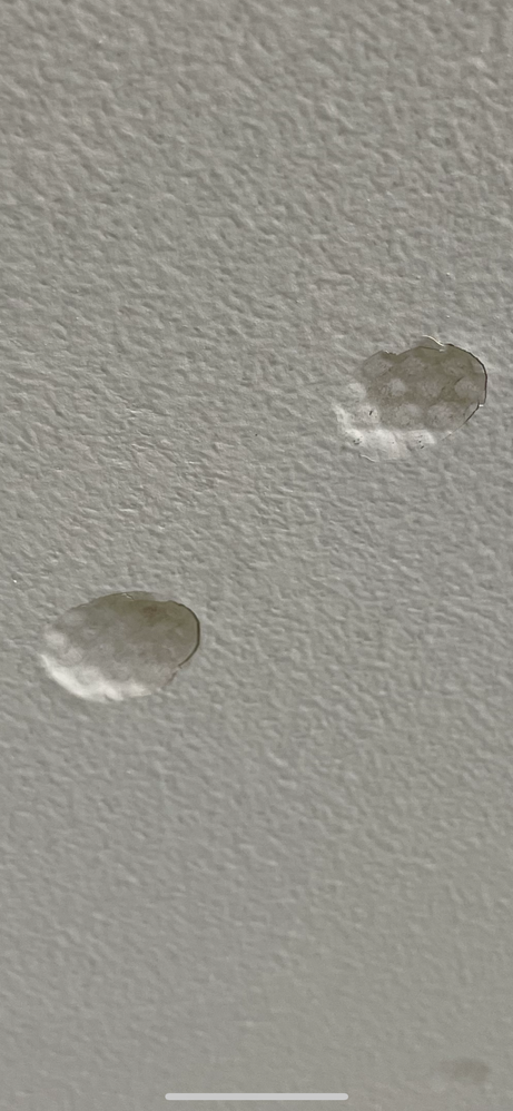 IMG_9602.PNG IMG_9602.PNG