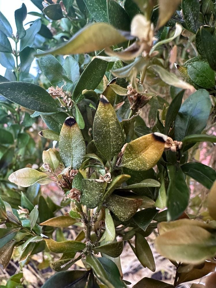 IMG_8182.jpg IMG_8182.jpg