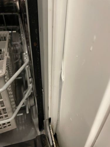 IMG_5182.jpeg IMG_5182.jpeg