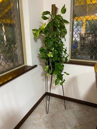 75F6FE1E-DF4C-44D3-9E3A-DEB4D4FFE8D2.jpeg 75F6FE1E-DF4C-44D3-9E3A-DEB4D4FFE8D2.jpeg