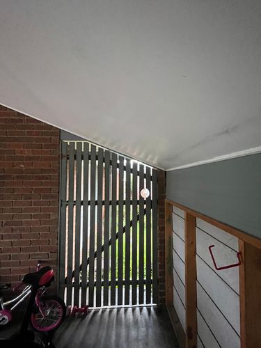 IMG_2764.jpeg IMG_2764.jpeg