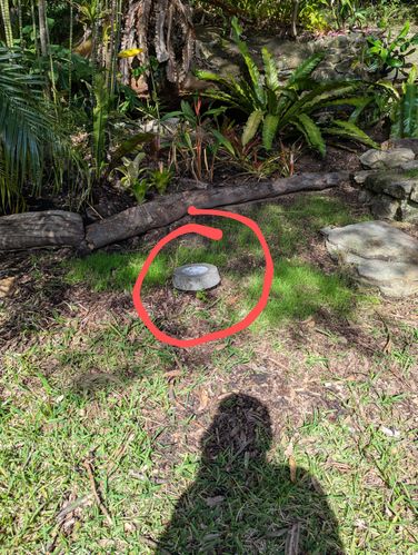 1000006765.jpg 1000006765.jpg