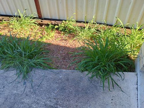 IMG_20250522_084249944_HDR.jpg IMG_20250522_084249944_HDR.jpg