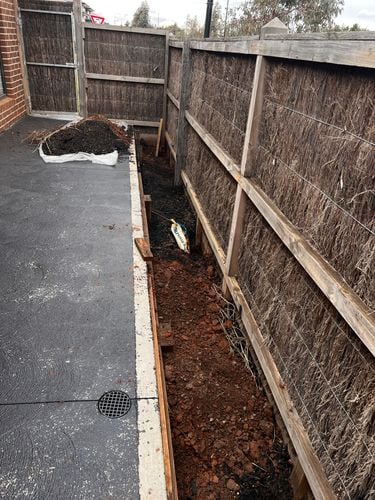 IMG_5150.jpeg IMG_5150.jpeg