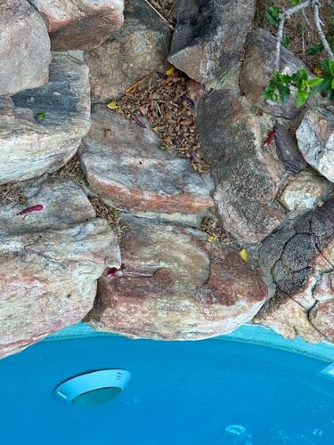 IMG_7728.jpeg IMG_7728.jpeg