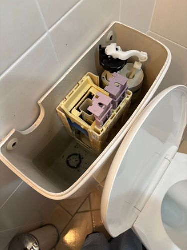 sf28_0-1743314031476.jpeg sf28_0-1743314031476.jpeg