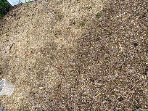 55A2B3D9-36AF-421E-9ABA-9F9727C02543.jpeg 55A2B3D9-36AF-421E-9ABA-9F9727C02543.jpeg