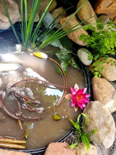 1000016825.jpg 1000016825.jpg