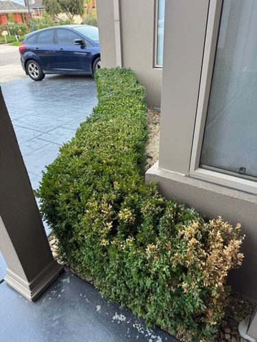 IMG_5340.jpeg IMG_5340.jpeg