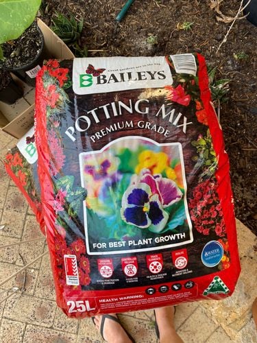 0A5DAAF7-86EE-433F-ACE8-1FF1F3BD55A9.jpeg 0A5DAAF7-86EE-433F-ACE8-1FF1F3BD55A9.jpeg