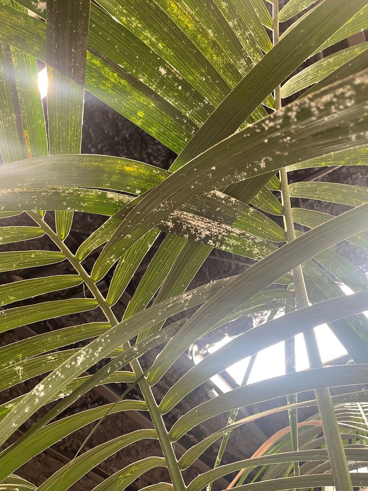 IMG-2177.jpg IMG-2177.jpg