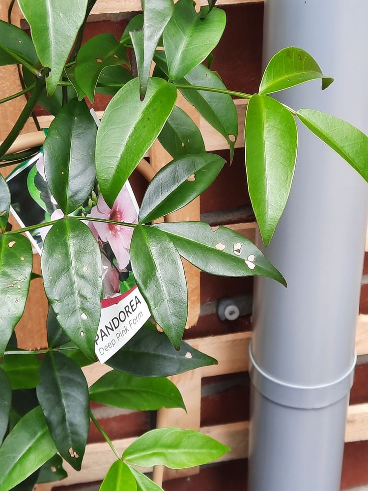 FAA52AFB-253F-4BE7-8518-E98CD3F51360.jpeg FAA52AFB-253F-4BE7-8518-E98CD3F51360.jpeg