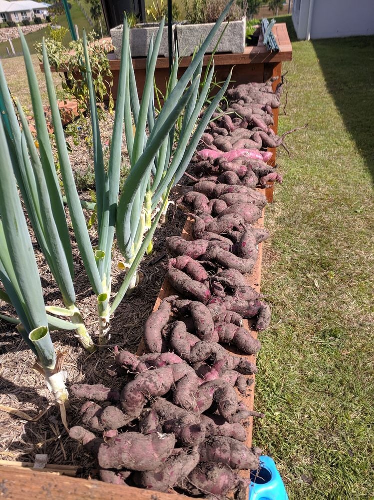 IMG_20190721_121046.jpg IMG_20190721_121046.jpg