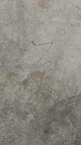 1000046650.jpg 1000046650.jpg