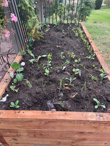 F15A4667-5F89-4970-BBDC-26C5BDE0F49B.jpeg F15A4667-5F89-4970-BBDC-26C5BDE0F49B.jpeg