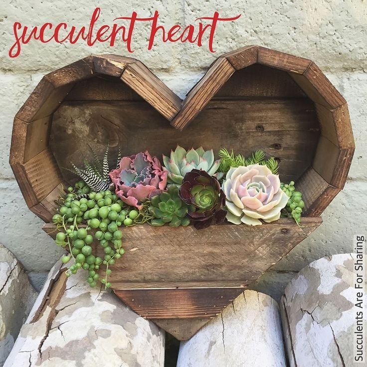 heart shaped wooden succulent planters.jpg heart shaped wooden succulent planters.jpg