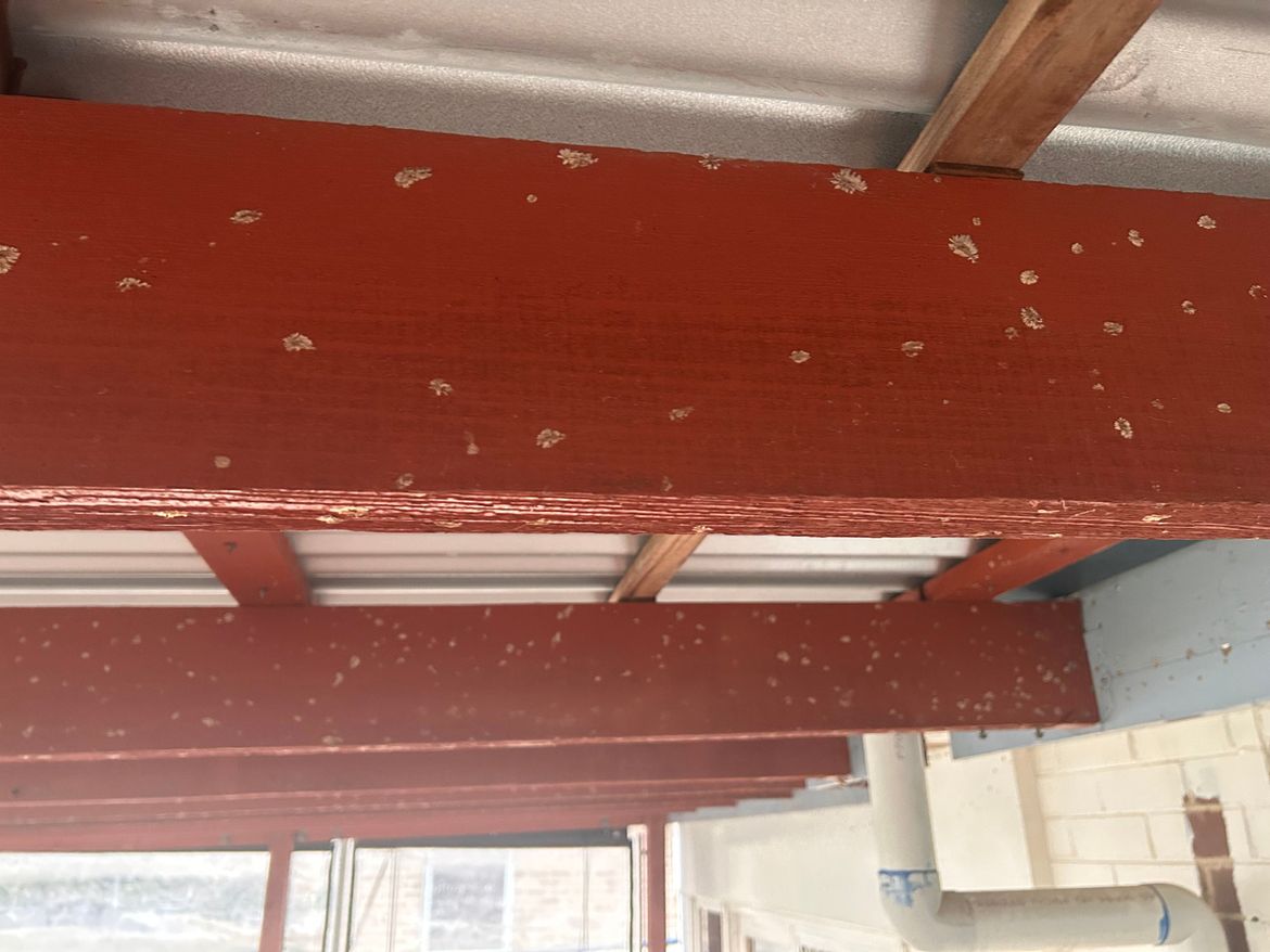 IMG_3838.jpg IMG_3838.jpg