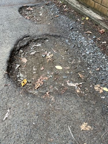 70D32444-6306-4131-9331-27AF502E0226.jpeg 70D32444-6306-4131-9331-27AF502E0226.jpeg