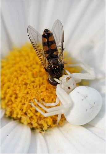 8585E1AA-E20C-478A-9859-5EB30816D396.jpeg 8585E1AA-E20C-478A-9859-5EB30816D396.jpeg