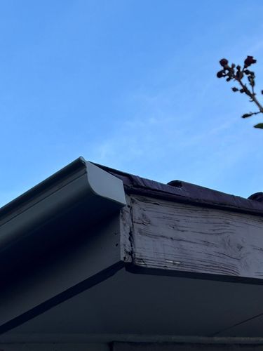 IMG_1607.JPEG IMG_1607.JPEG