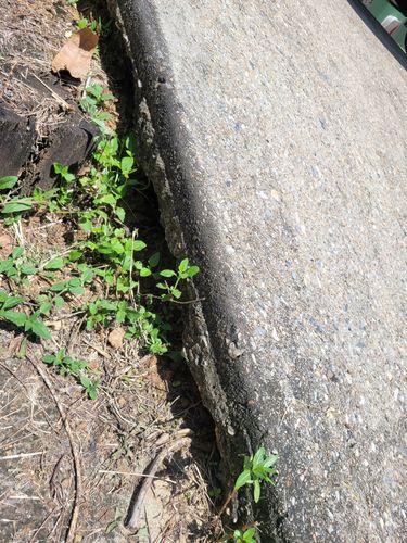 20240301_124206.jpg 20240301_124206.jpg