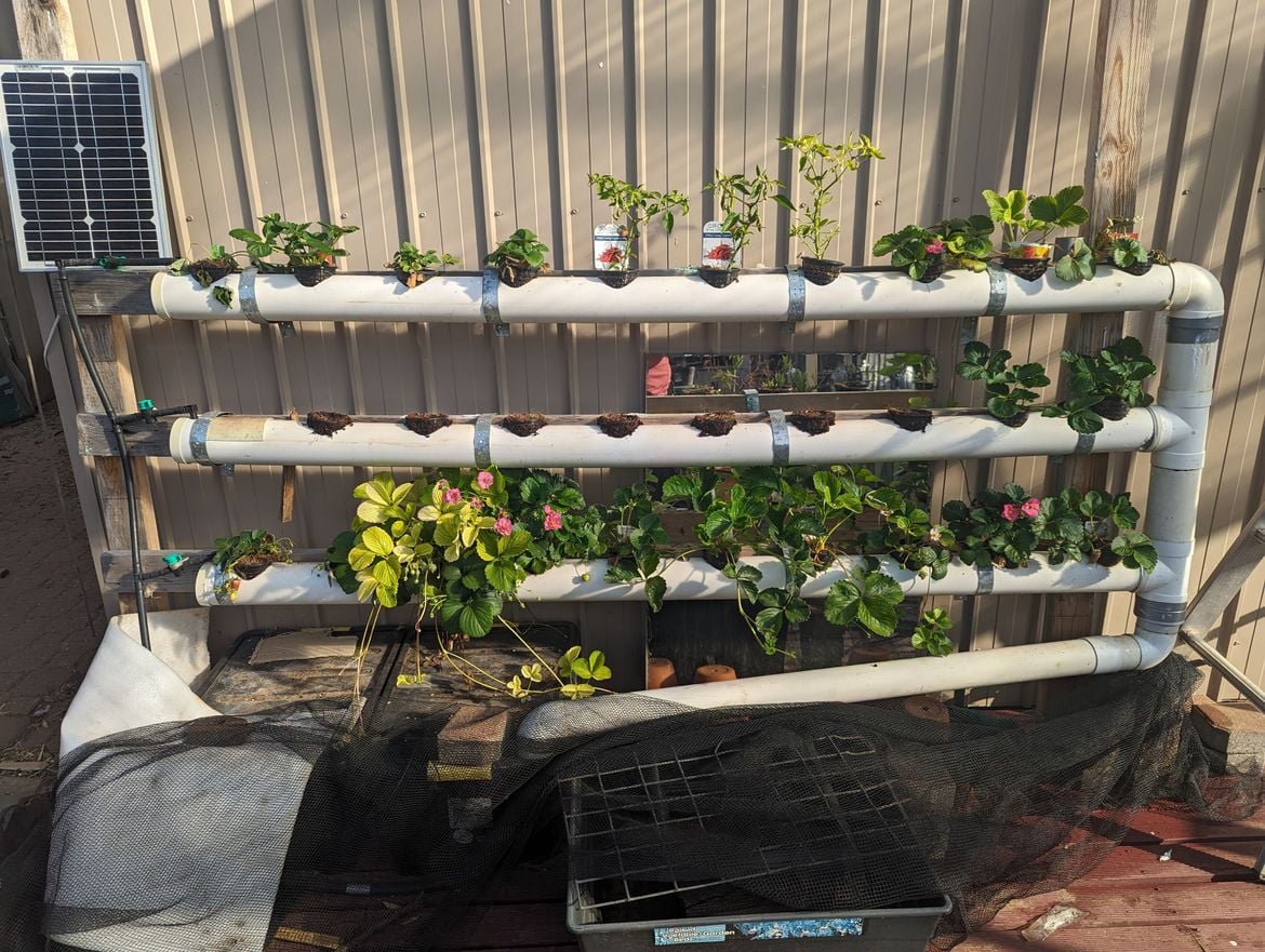 PXL_20231111_071449920.jpg PXL_20231111_071449920.jpg