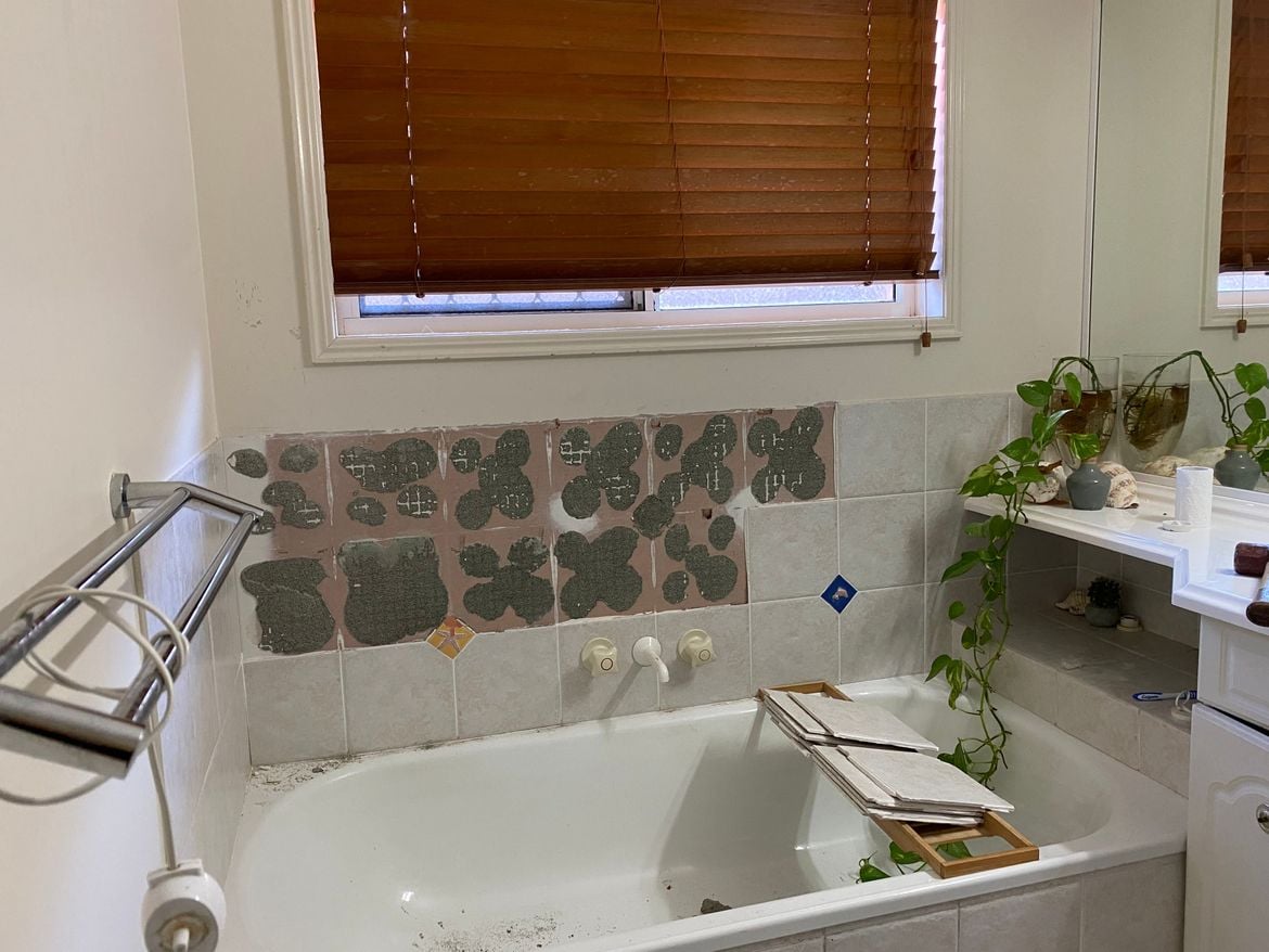 IMG_8473.JPG IMG_8473.JPG