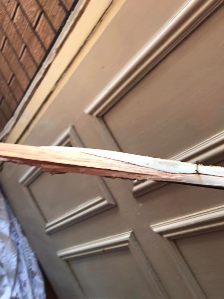 11 19-06-2023.jpg 11 19-06-2023.jpg