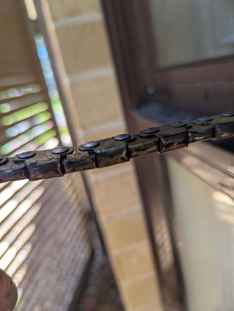 PXL_20241107_233537535.jpg PXL_20241107_233537535.jpg