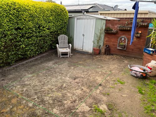 FC9A33C3-9B0A-4DFE-8582-142B46BD355B.jpeg FC9A33C3-9B0A-4DFE-8582-142B46BD355B.jpeg