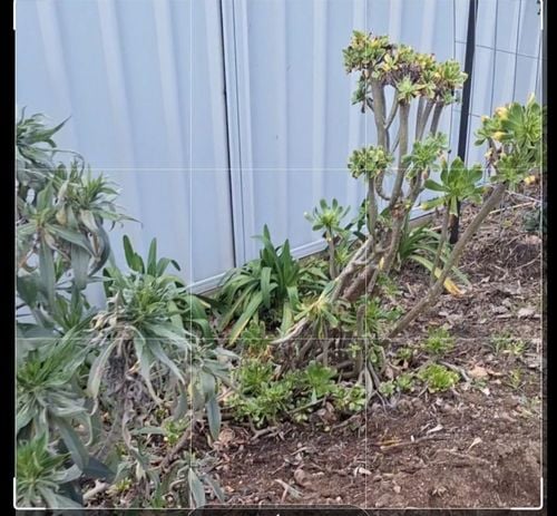 1000039342.jpg 1000039342.jpg