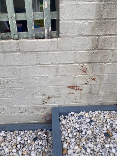 5D72F523-FBAC-4D97-8693-6B9202221D31.jpeg 5D72F523-FBAC-4D97-8693-6B9202221D31.jpeg