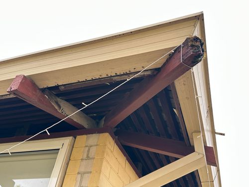 IMG_3588.jpeg IMG_3588.jpeg