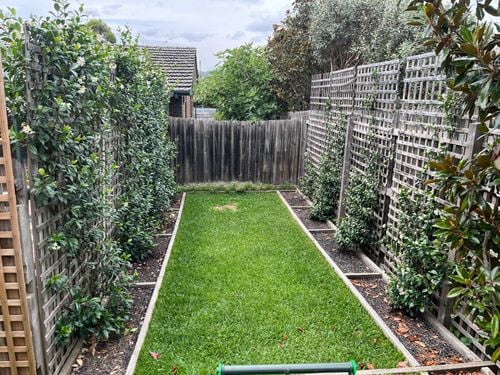 IMG_5886.jpeg IMG_5886.jpeg