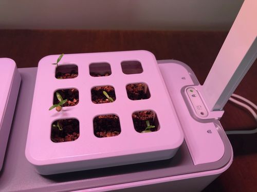 IMG_2258.jpg IMG_2258.jpg