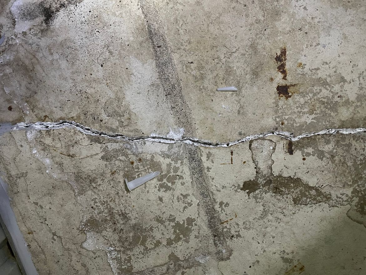 IMG_3447.jpg IMG_3447.jpg