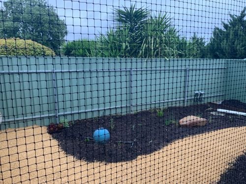 IMG_72EEBFA0-898D-4215-A560-678D16E84259.jpeg IMG_72EEBFA0-898D-4215-A560-678D16E84259.jpeg