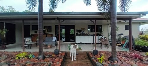 20260104_071617.jpg 20260104_071617.jpg